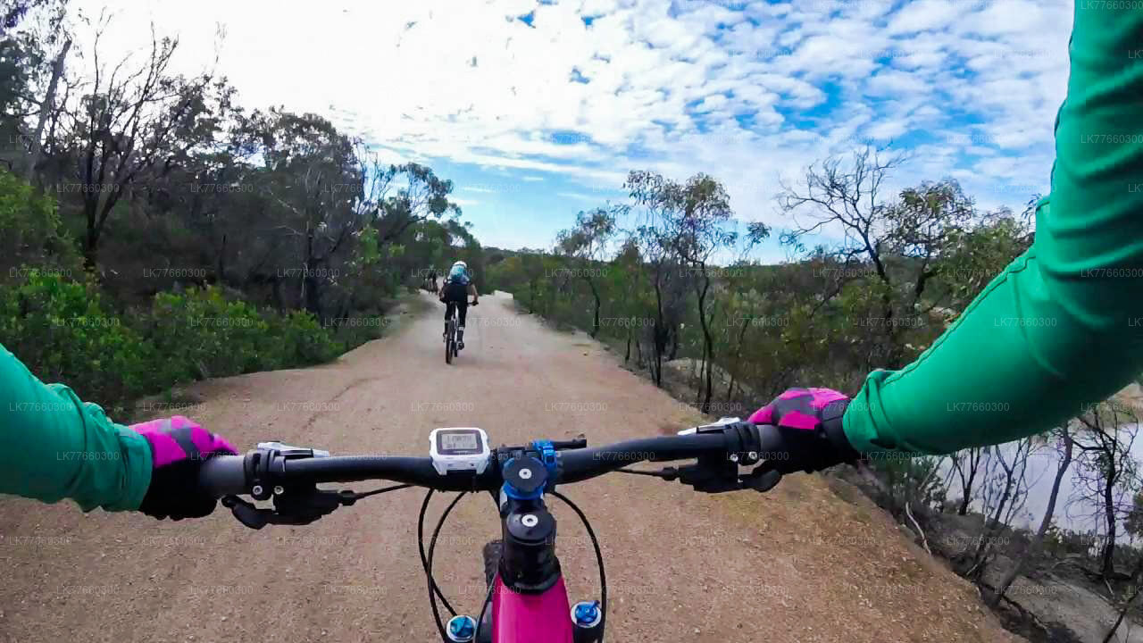 Thalangama-Feuchtgebiet-Radtour ab Mount Lavinia