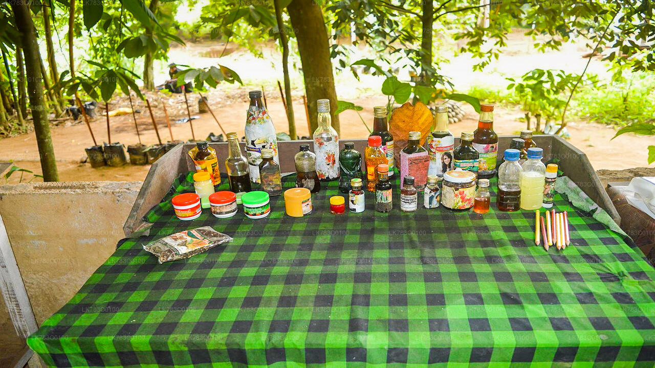 Besuch des Gewürzgartens und Kochvorführung von Pinnawala