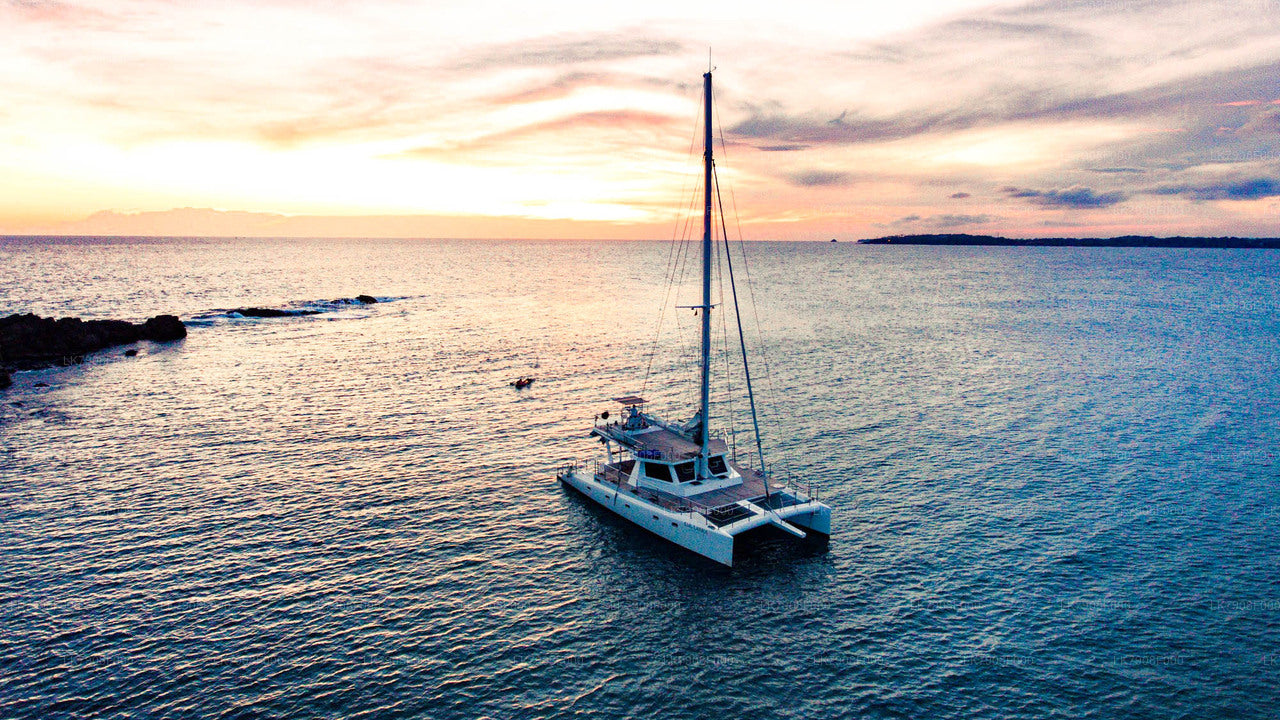 3-tägige Kreuzfahrt in Mirissa