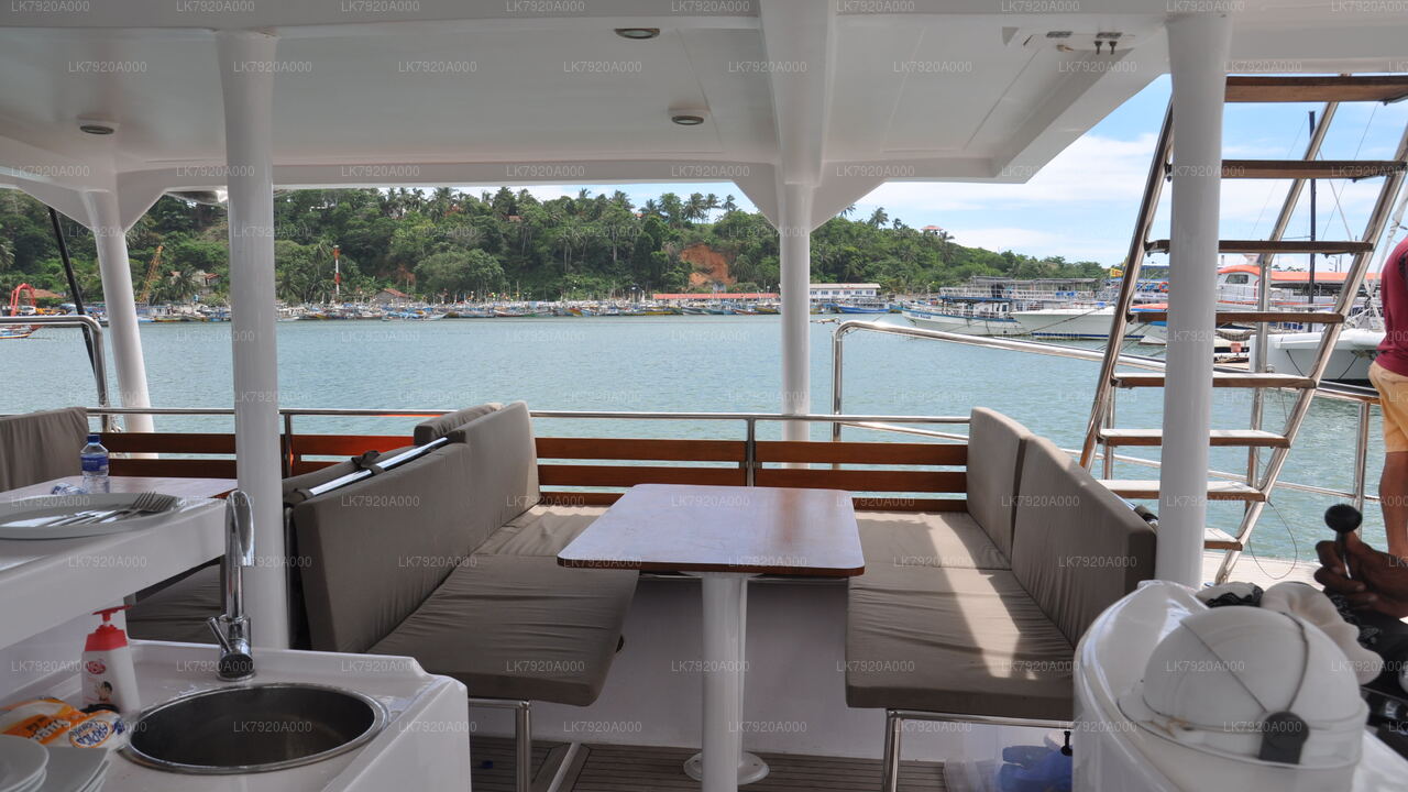 Segeln Sie zur Insel Delft