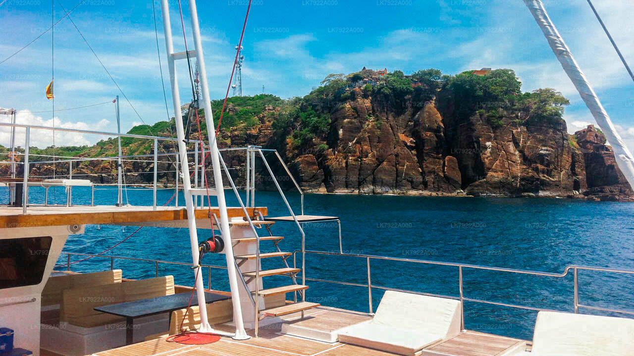 Walbeobachtungs-Yachttour ab Trincomalee