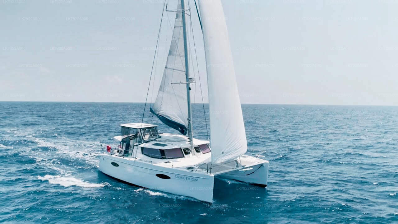 Walbeobachtungs-Yachttour ab Trincomalee