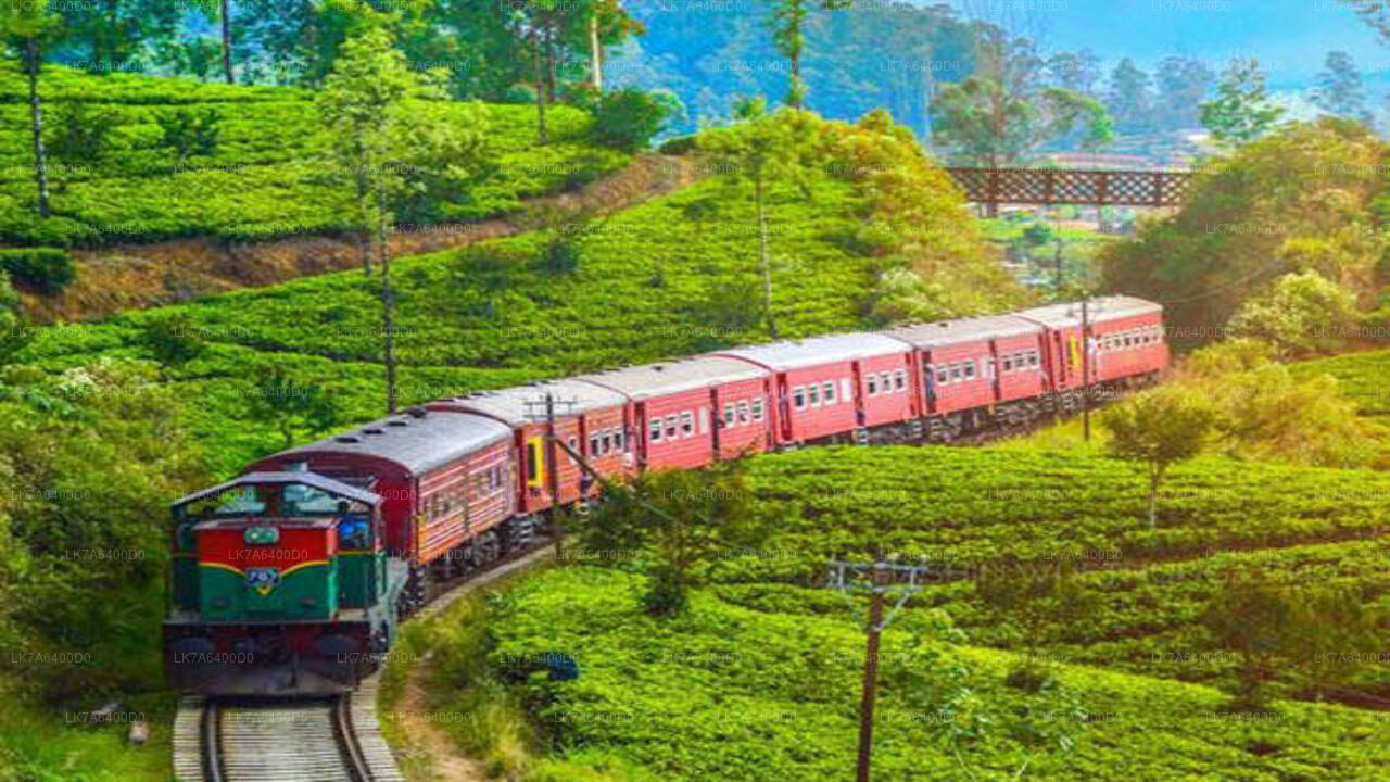 Weiterfahrt mit dem Zug von Badulla nach Nanu Oya (Zug Nr. 1016 „Udarata Menike“)