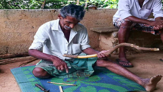 Bentota-Stadtrundfahrt ab dem Hafen von Colombo