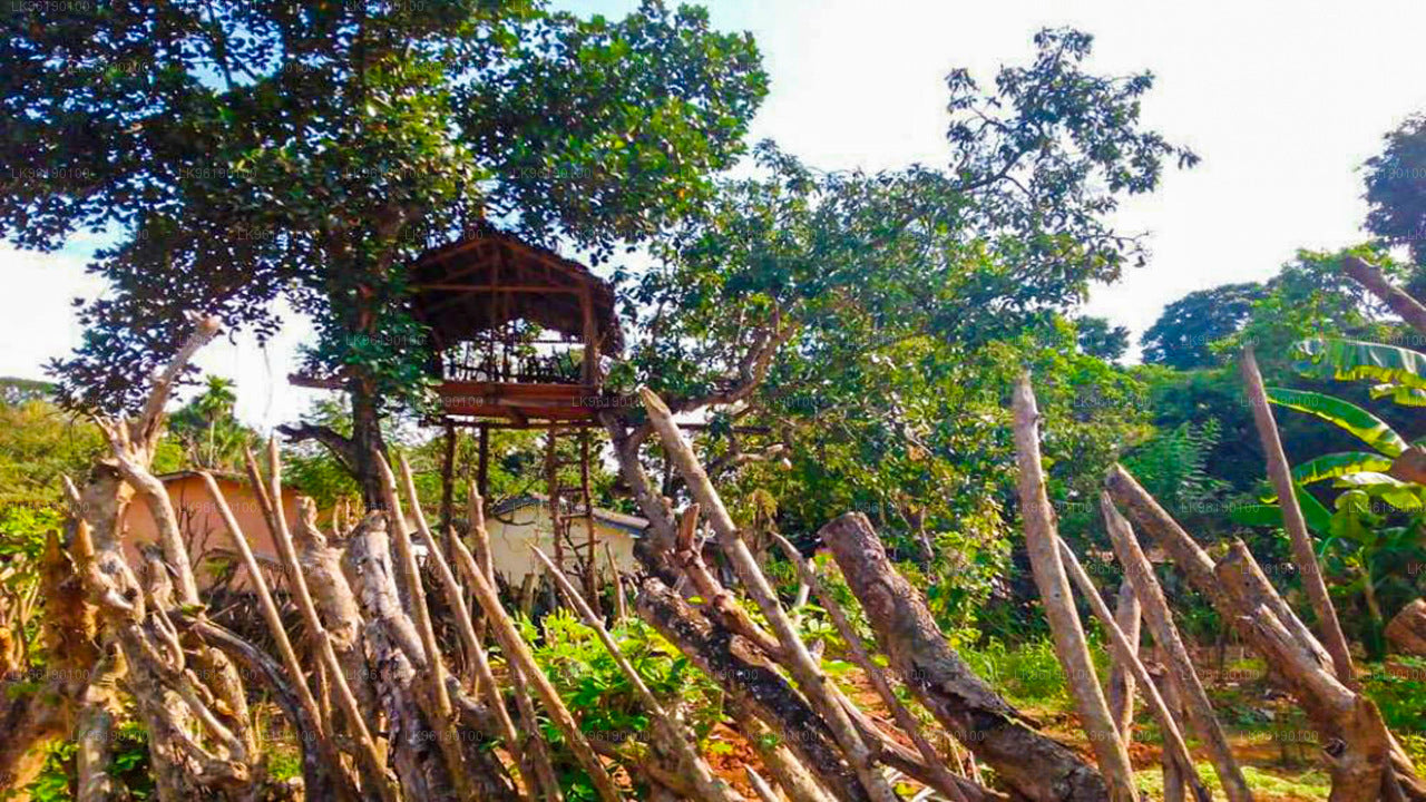 Themenpark Pinnawala Iperanigama