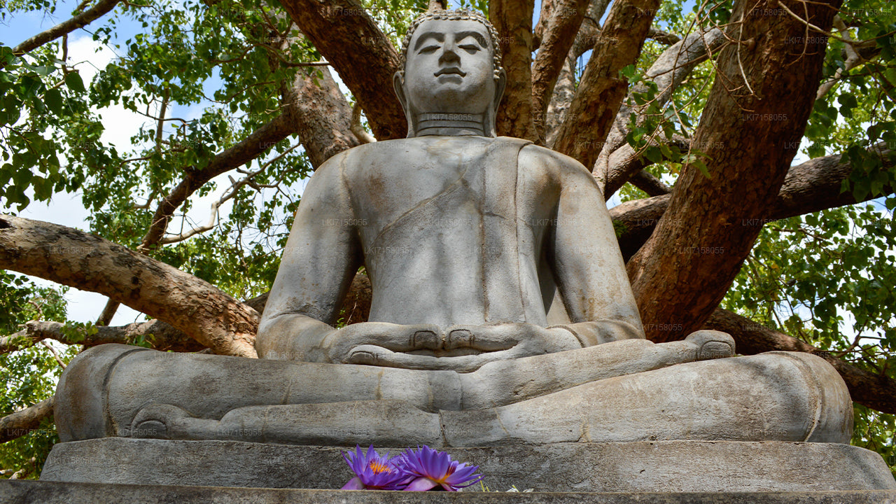 Spirituelle Erfahrung aus Anuradhapura