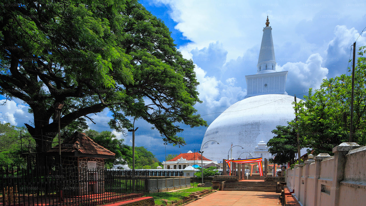 Spirituelle Erfahrung aus Anuradhapura