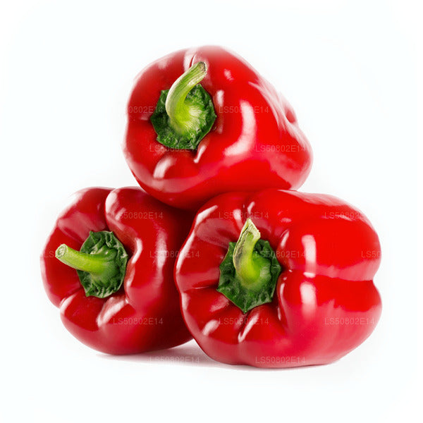 Paprika Rot- බෙල් පෙපර් රතු (250g)
