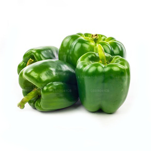 Grüner Paprika (250g)