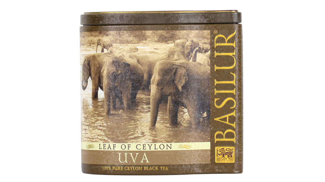 Basilurblatt aus Ceylon „Uva“ (100 g) Caddy