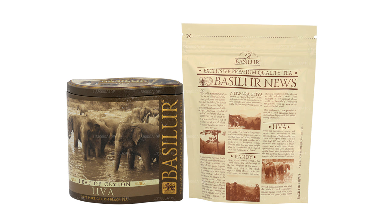 Basilurblatt aus Ceylon „Uva“ (100 g) Caddy