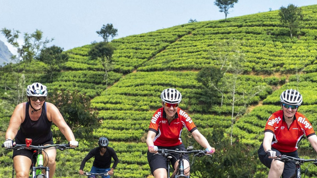 Nuwara Eliya Highlands Radtour ab Kandy