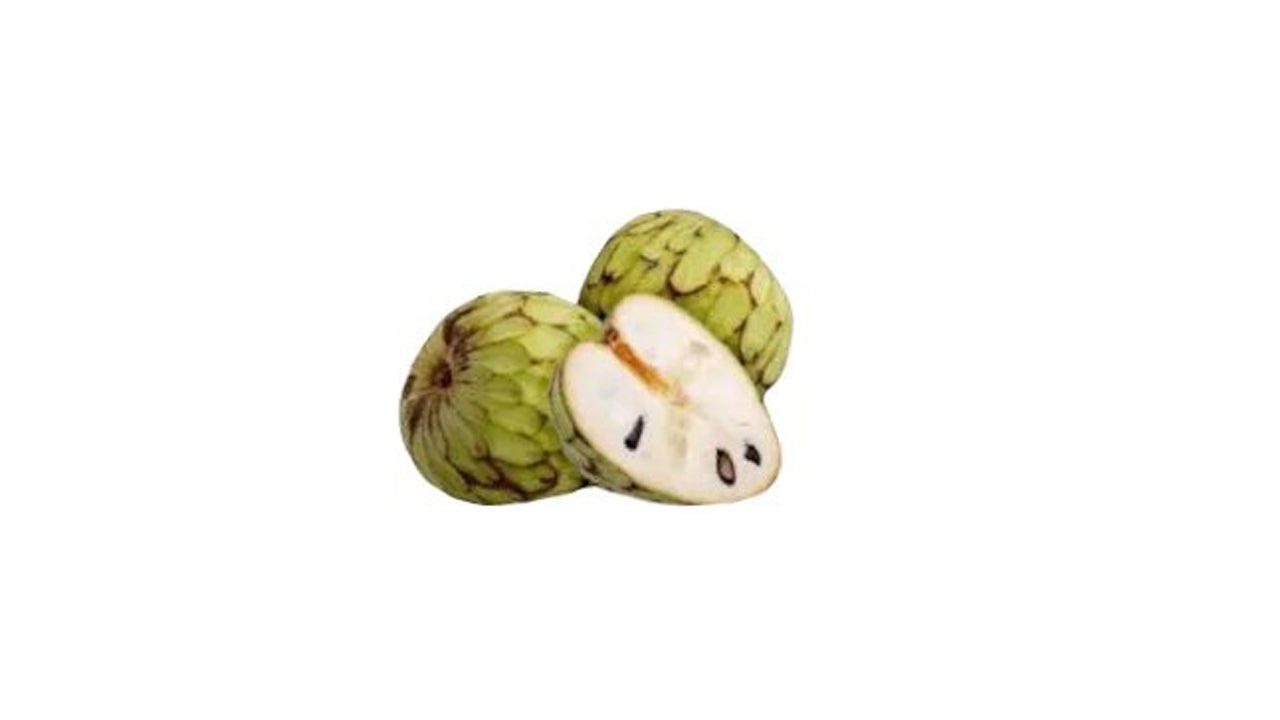 Lakpura Cherimoya-Pflanze