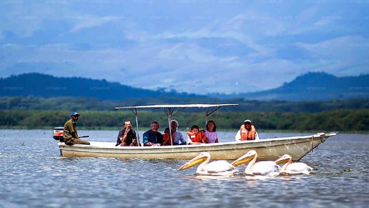 Boat Tours