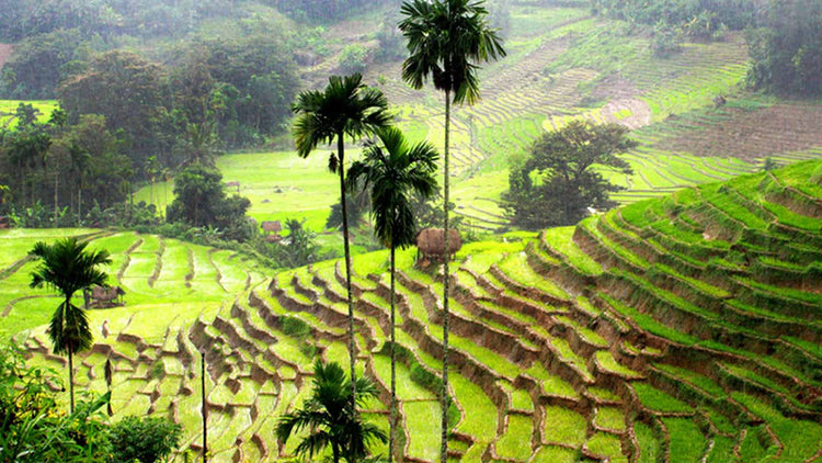 Heel Oya Accommodations