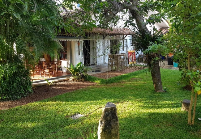 Bilin Baumhaus, Galle