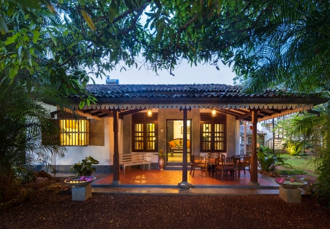 Bilin Baumhaus, Galle