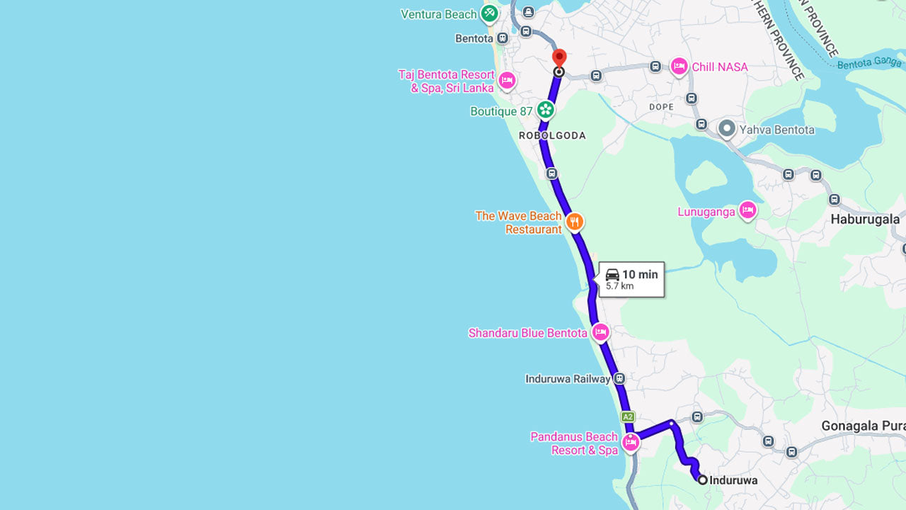Baby Turtle Release from Induruwa