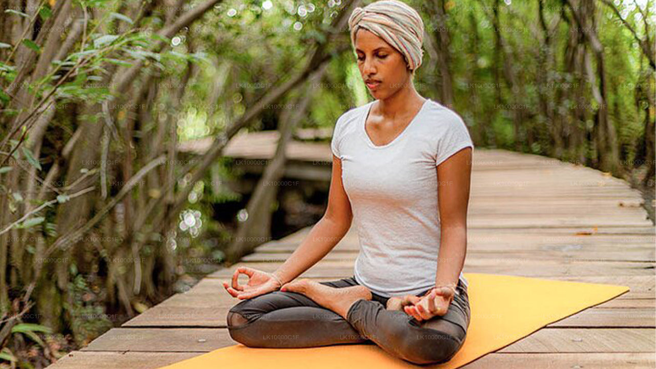 Spirituelle Wellness-Tour (7 Tage)