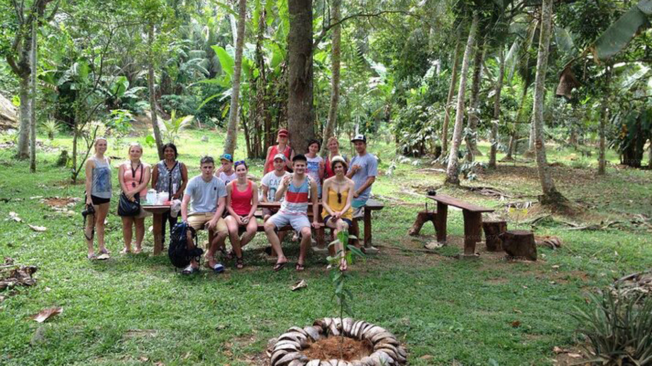 Tee-Wanderung und Verkostungstour ab Matara
