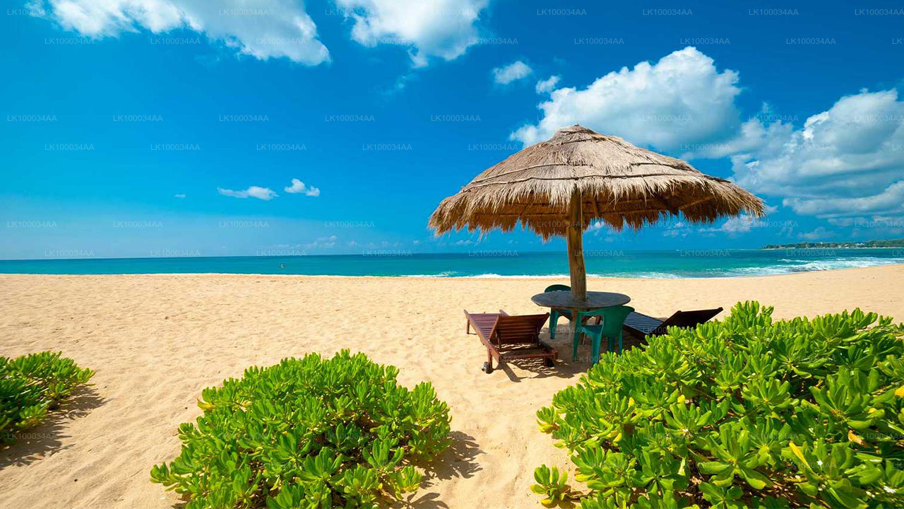 Entdecken Sie Sri Lanka mit Mahesh Abeyratne