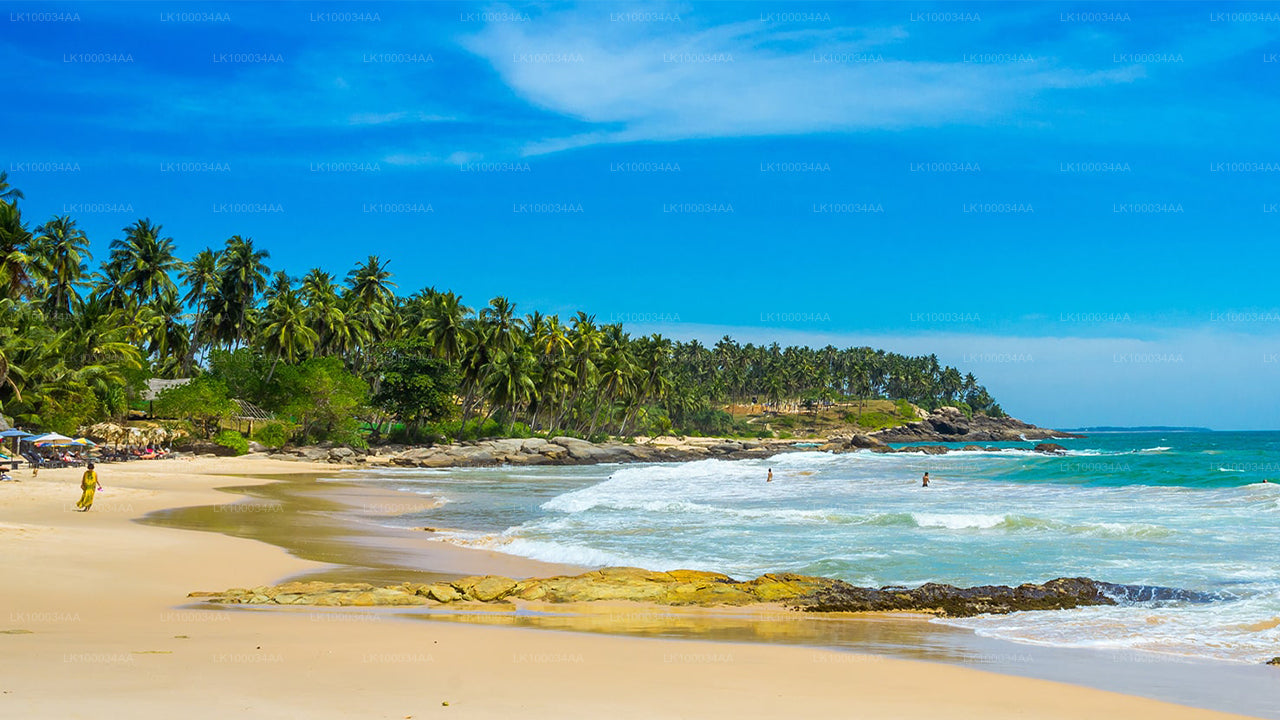 Entdecken Sie Sri Lanka mit Mahesh Abeyratne