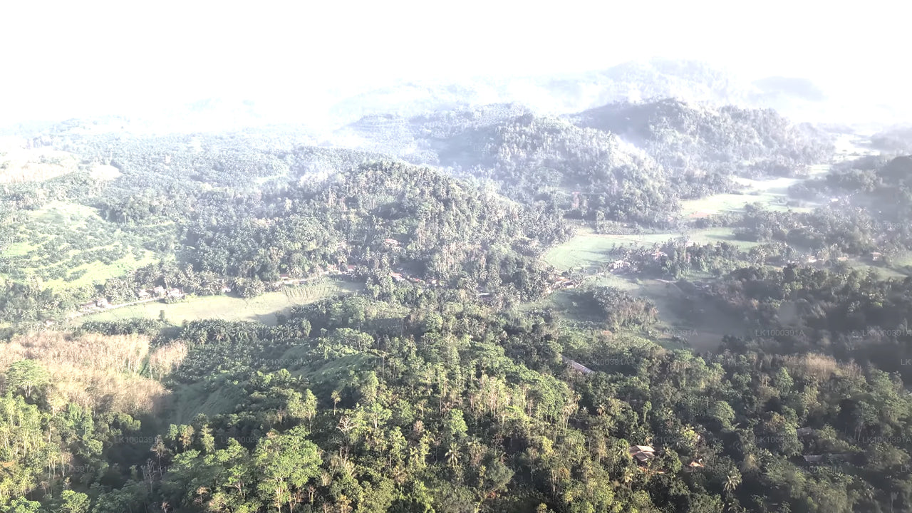 Entdecken Sie Sigiriya mit dem Hubschrauber von Colombo City