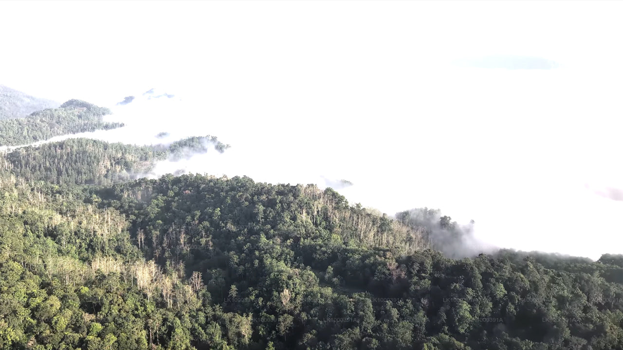 Entdecken Sie Sigiriya mit dem Hubschrauber von Colombo City