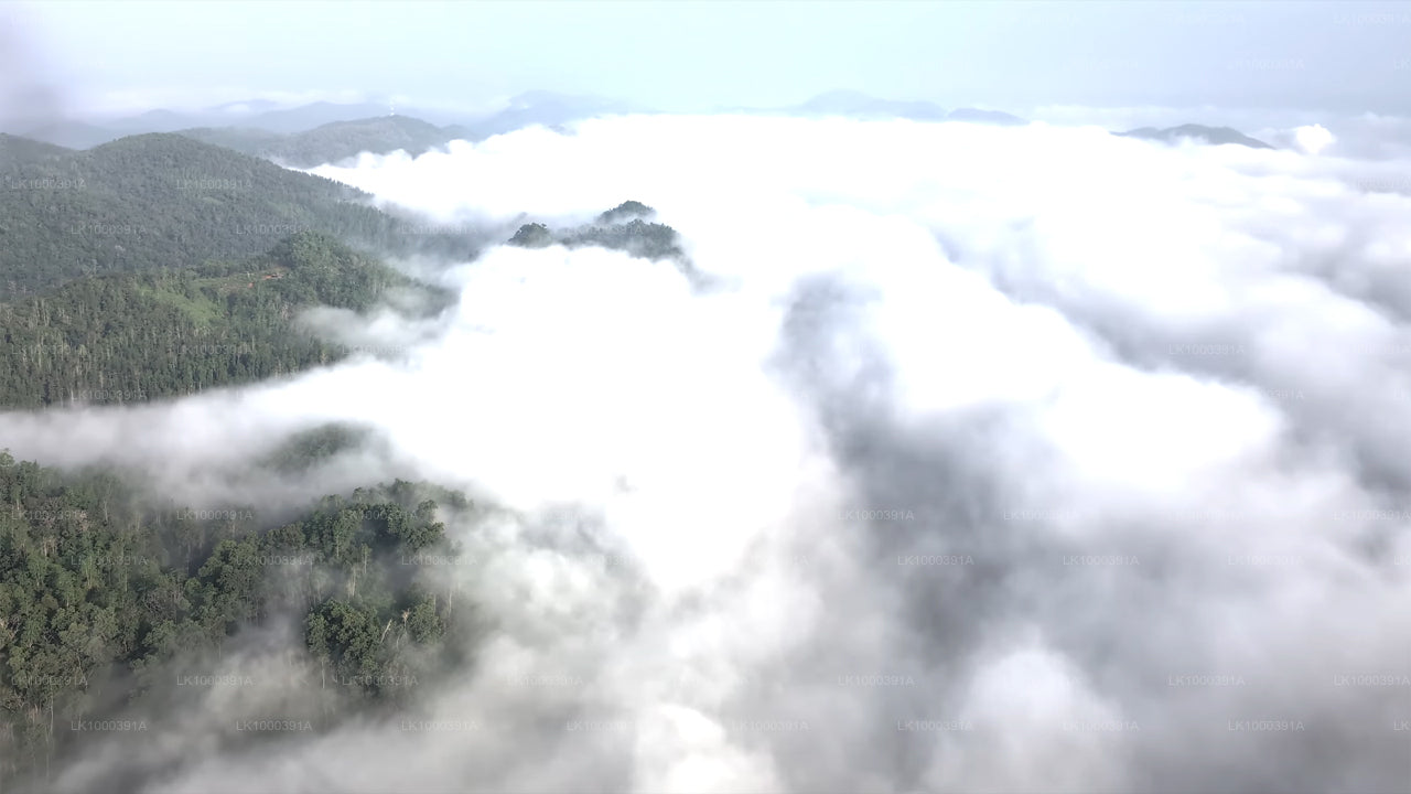 Entdecken Sie Sigiriya mit dem Hubschrauber von Colombo City