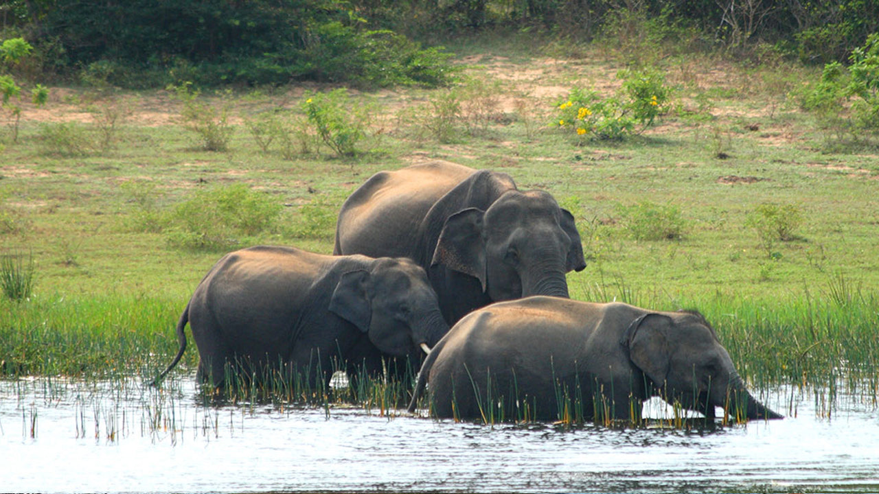 Flucht ins Paradies (11 Tage)