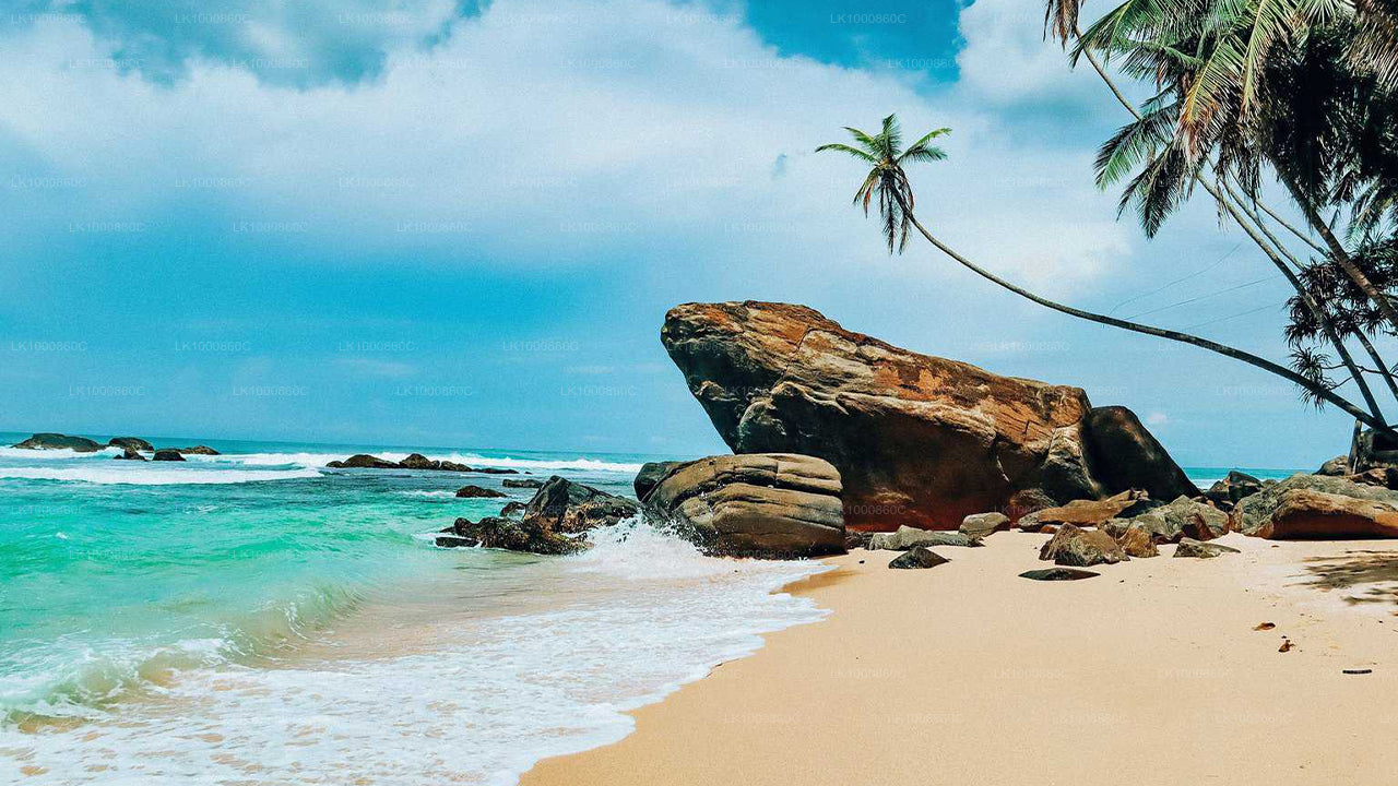 Paradies in (11 Tage)