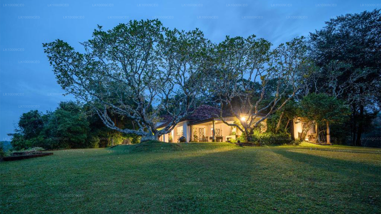 Lunuganga Estate, Schildkröten und Madu River von Galle City