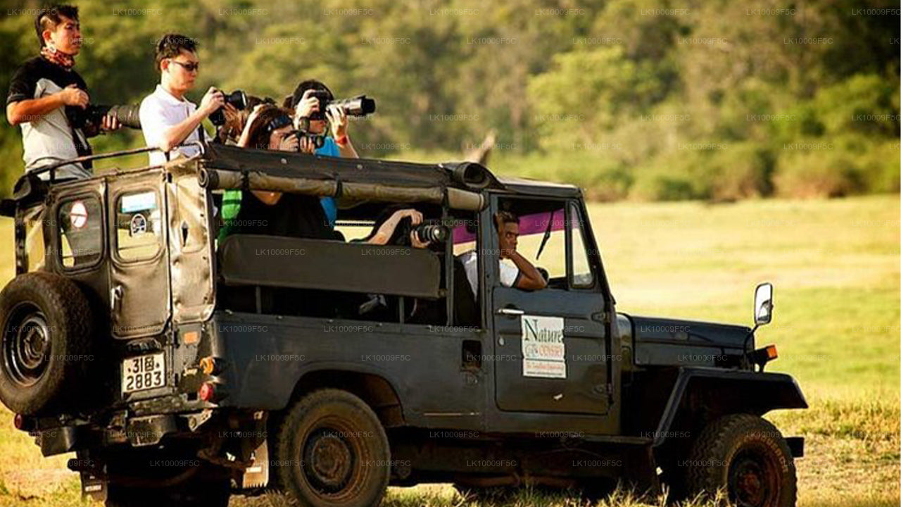 Wildtiertour mit Vögeln und Säugetieren (7 Tage)