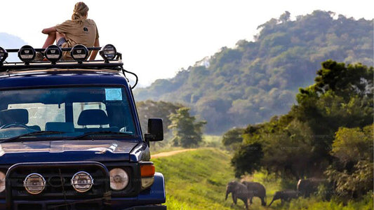 Wildtiertour mit Vögeln und Säugetieren (7 Tage)