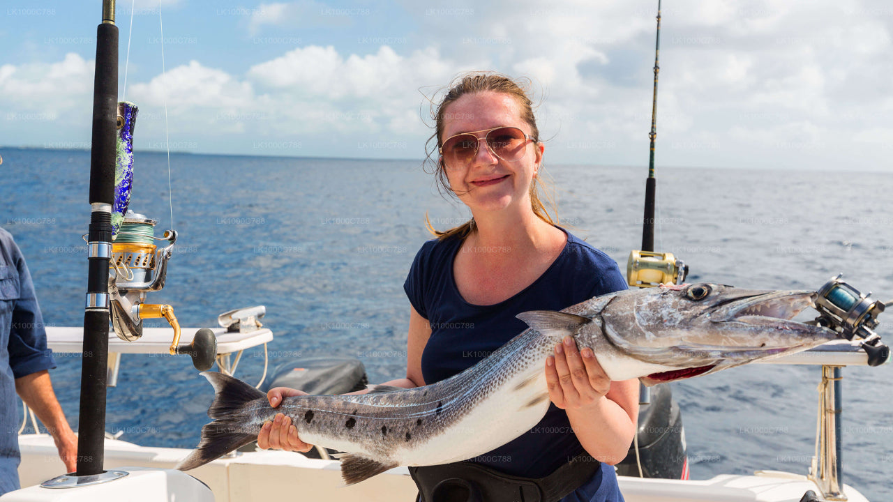 Kombitour mit Delfinbeobachtung, Schnorcheln und Angeln in Trincomalee