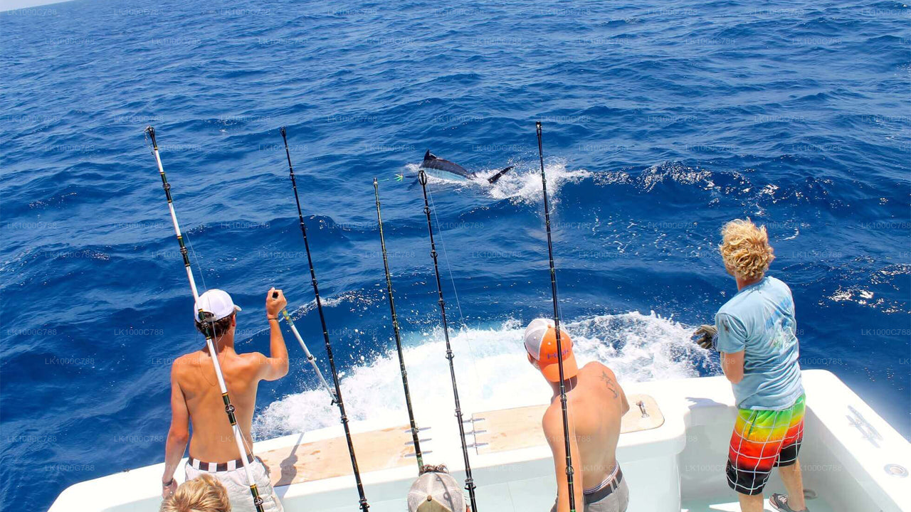 Kombitour mit Delfinbeobachtung, Schnorcheln und Angeln in Trincomalee