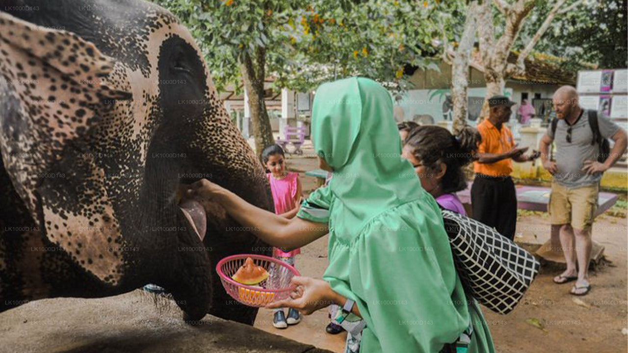 Sri Lanka Halal (Islamische) Tour (6 Tage)