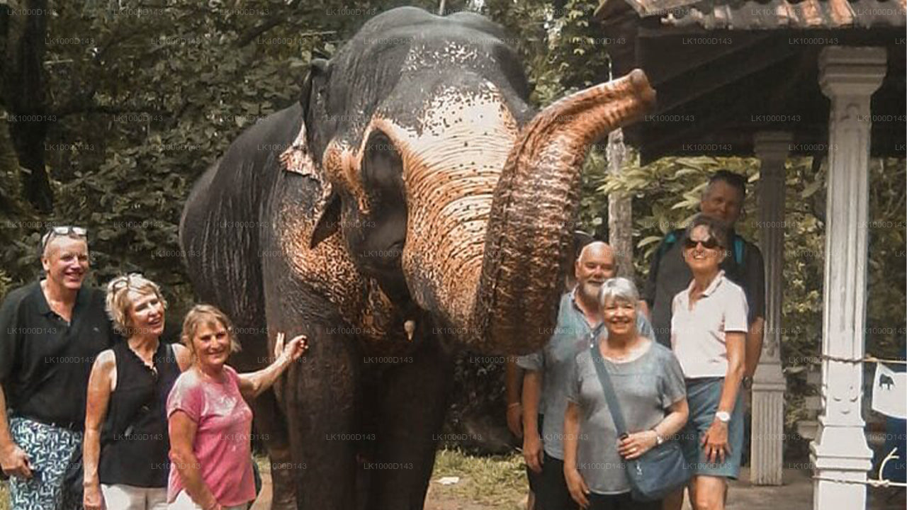Sri Lanka Halal (Islamische) Tour (6 Tage)
