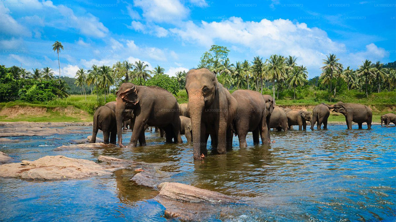 Last-Minute-Kurzurlaub (4 Tage)