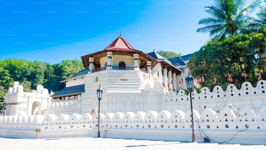 Last-Minute-Kurzurlaub (4 Tage)