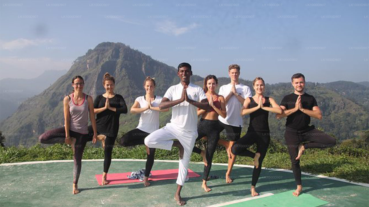 Meditation und Musiktherapie am Polgahaamuna-Wasserfall