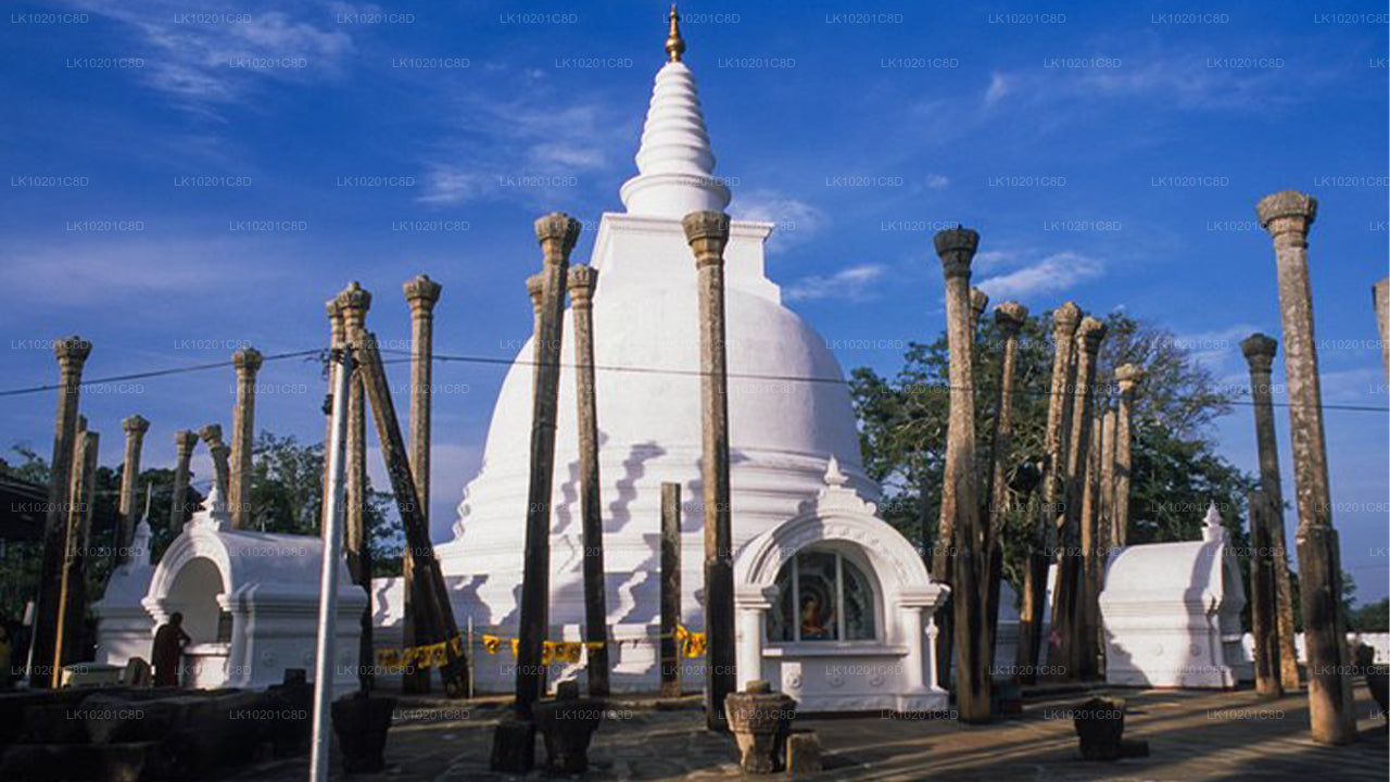 Wilpattu und Anuradhapura ab Colombo (2 Tage)