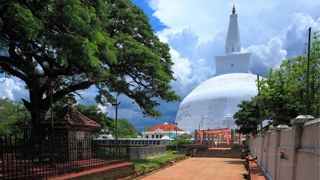 Wilpattu und Anuradhapura ab Colombo (2 Tage)