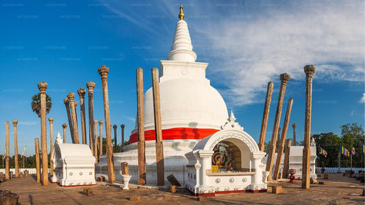 Wilpattu und Anuradhapura ab Colombo (2 Tage)