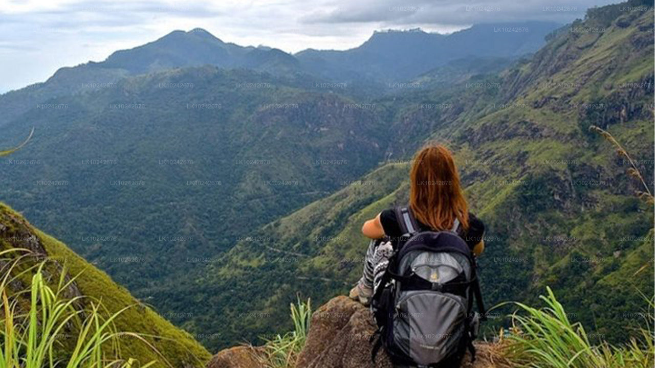 Nebelige Bergpfade ab Hikkaduwa (2 Tage)