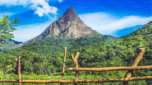 Ländliche Tour ab Bentota (2 Tage)