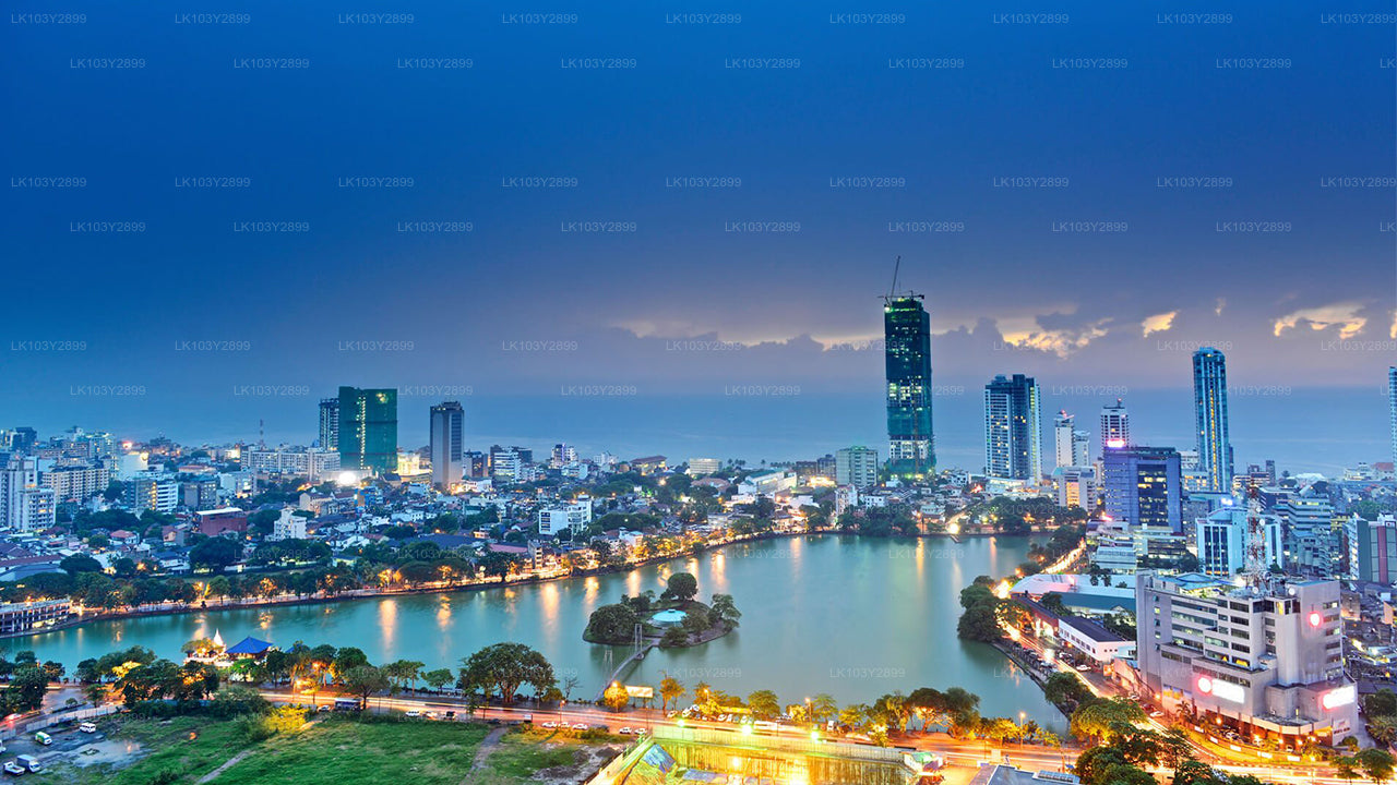 Entdecken Sie Sri Lanka von Colombo aus (4 Tage)