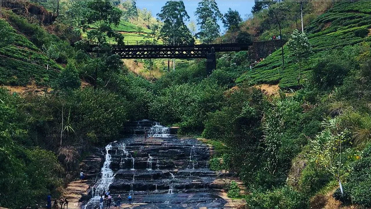 Entdecken Sie Sri Lanka von Colombo aus (4 Tage)