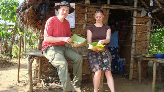 Land- und Landschaftstour durch Sri Lanka (4 Tage)