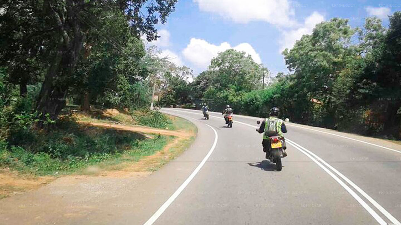 Fahrt durch das kulturelle Dreieck – Geführte Motorradtour in Sri Lanka (4 Tage)